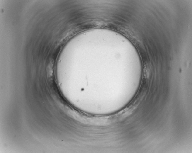 X0000087750032200706041113