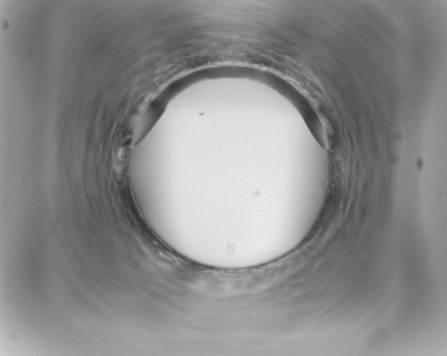 X0000087750033200706041113