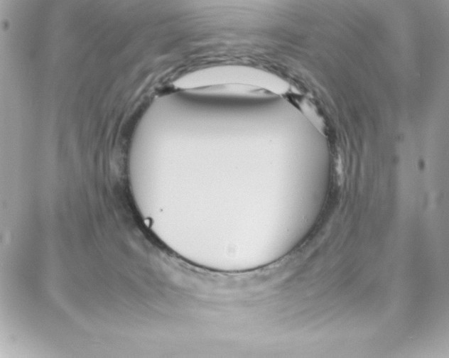 X0000087750035200706041112