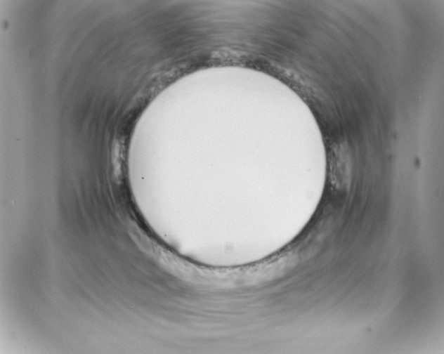 X0000087750038200706041112