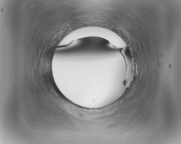 X0000087750039200706041112