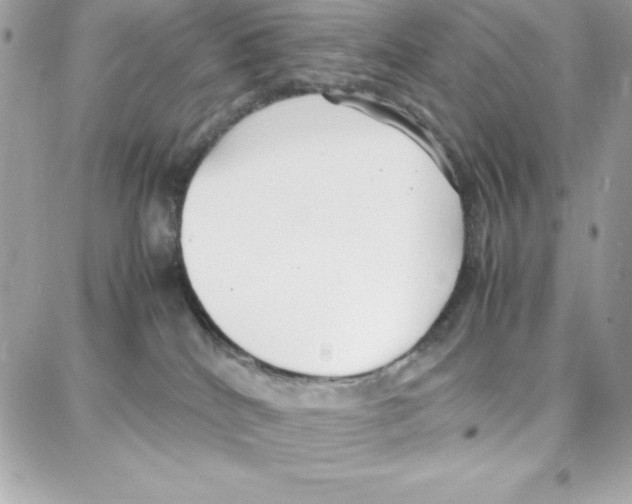 X0000087750040200706041112