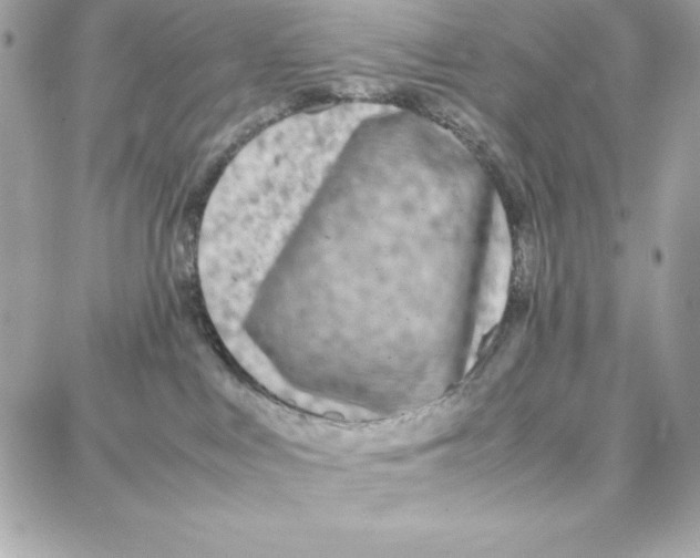 X0000087750043200706041112