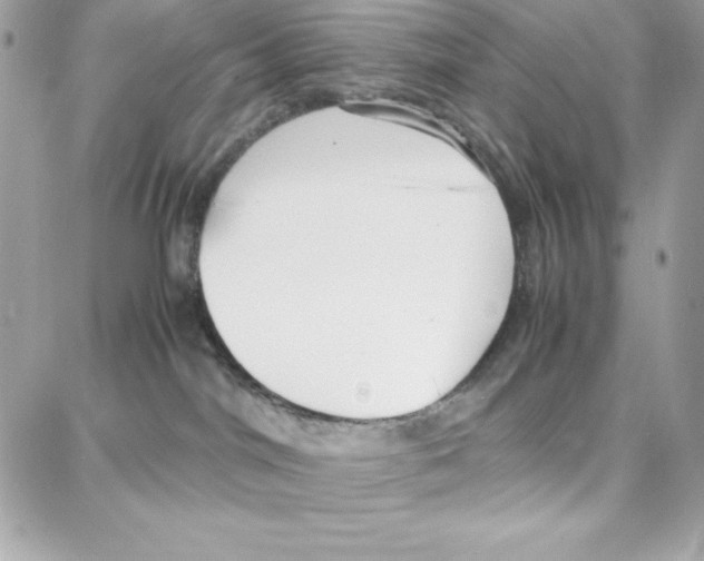 X0000087750044200706041112