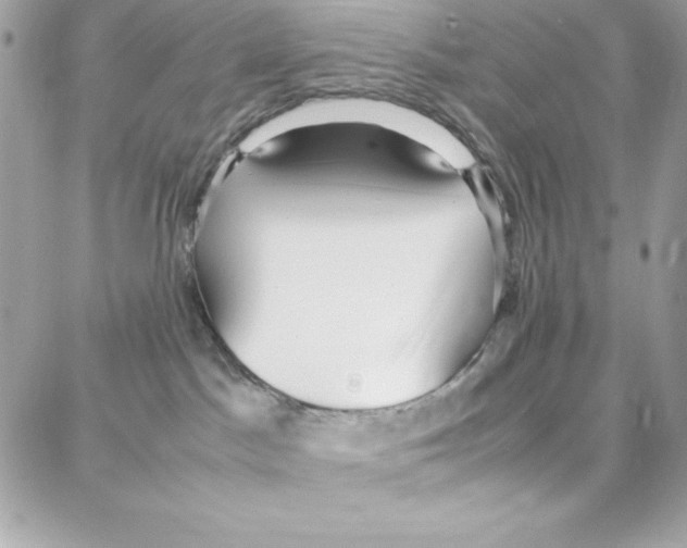 X0000087750045200706041112