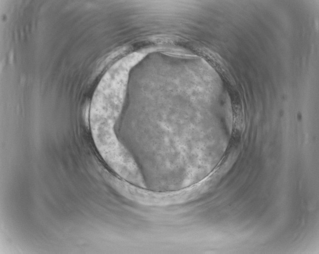 X0000087750047200706041112