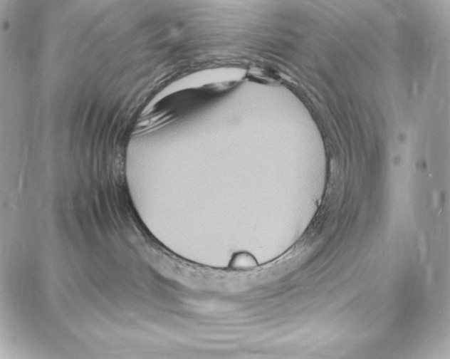 X0000087750048200706041112