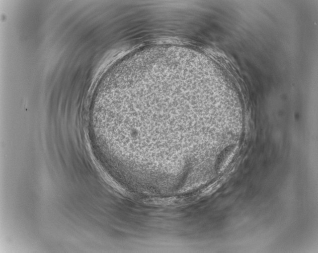 X0000087750049200706041112