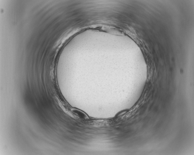 X0000087750050200706041112