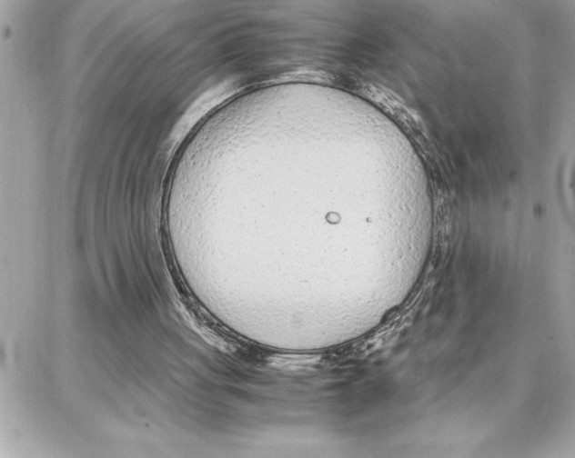 X0000087750051200706041112