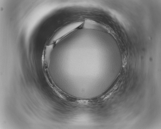 X0000087750052200706041112