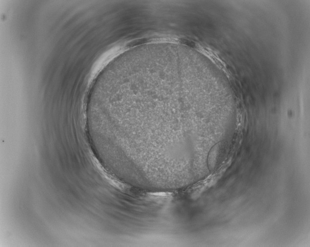 X0000087750053200706041112