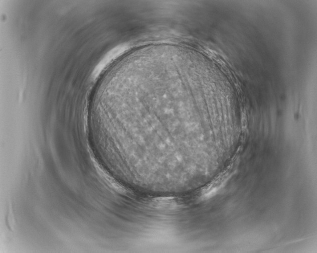 X0000087750054200706041112