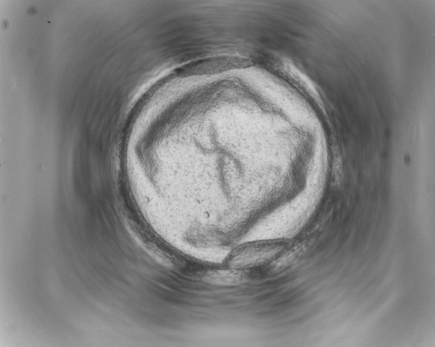 X0000087750059200706041112