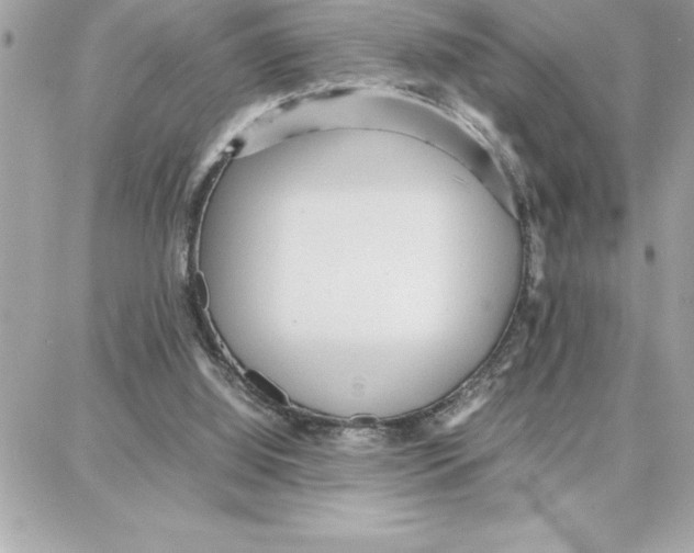 X0000087750060200706041112