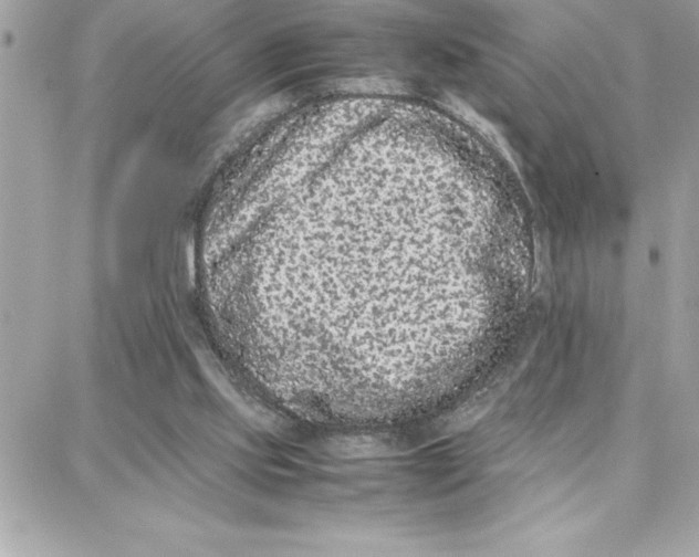 X0000087750061200706041112