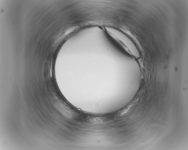 X0000087750062200706041112