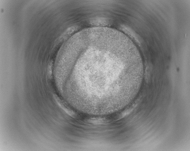 X0000087750065200706041112