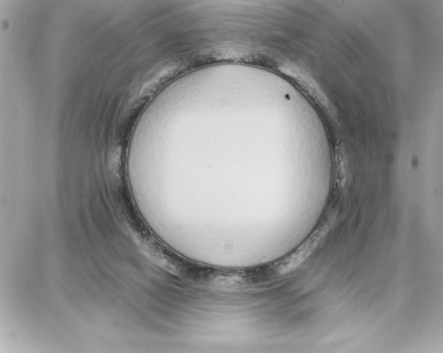 X0000087750066200706041112