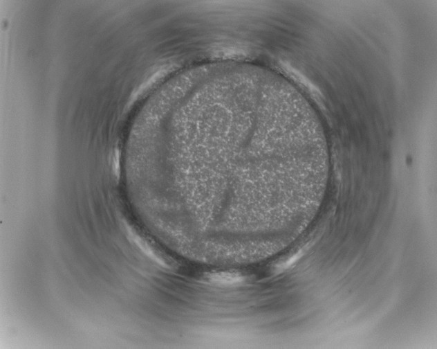 X0000087750067200706041112