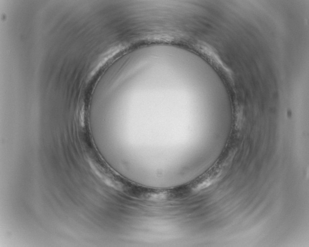 X0000087750068200706041112