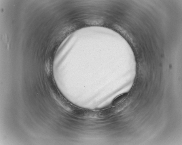 X0000087750069200706041112