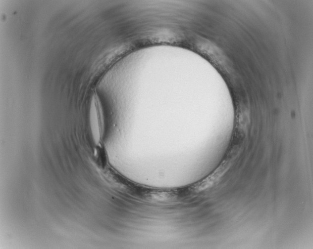 X0000087750070200706041112