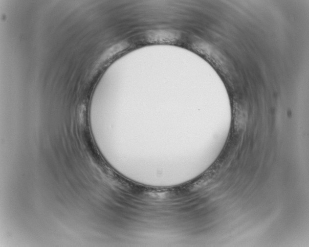 X0000087750071200706041112