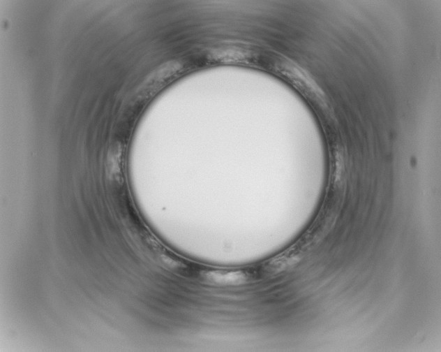 X0000087750073200706041112