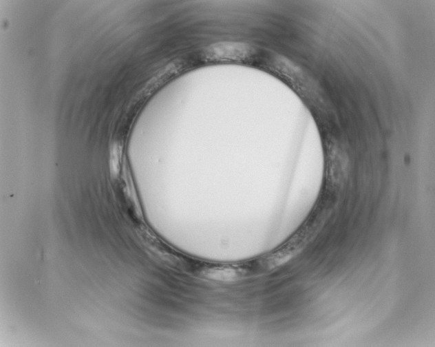 X0000087750075200706041112