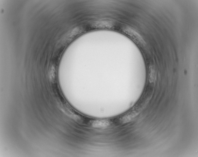 X0000087750077200706041112