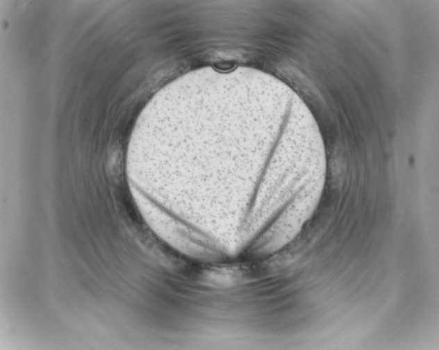 X0000087750079200706041112