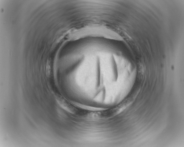 X0000087750080200706041112