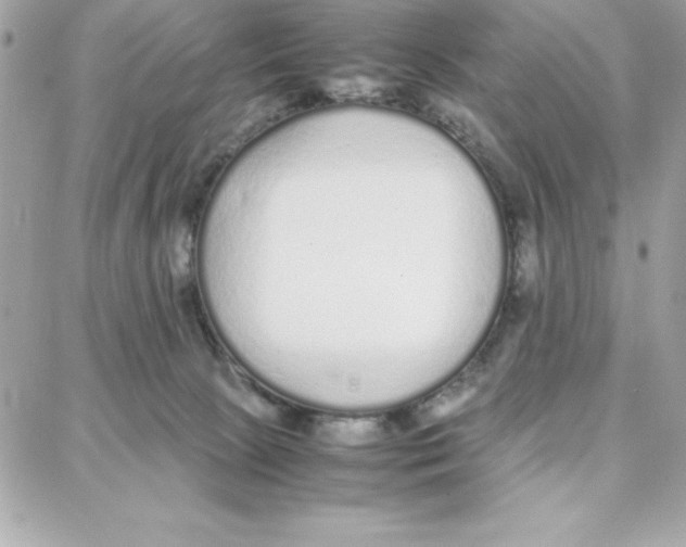 X0000087750081200706041112