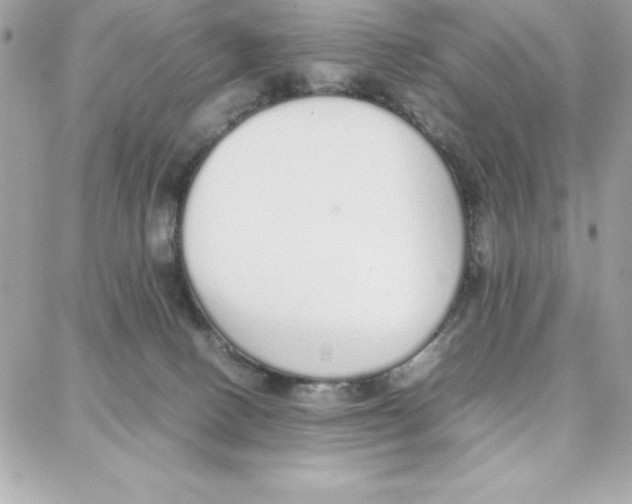 X0000087750082200706041112