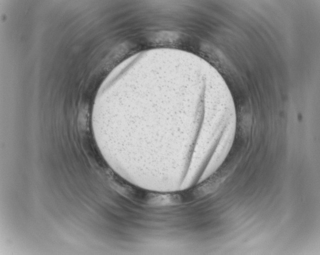 X0000087750083200706041112