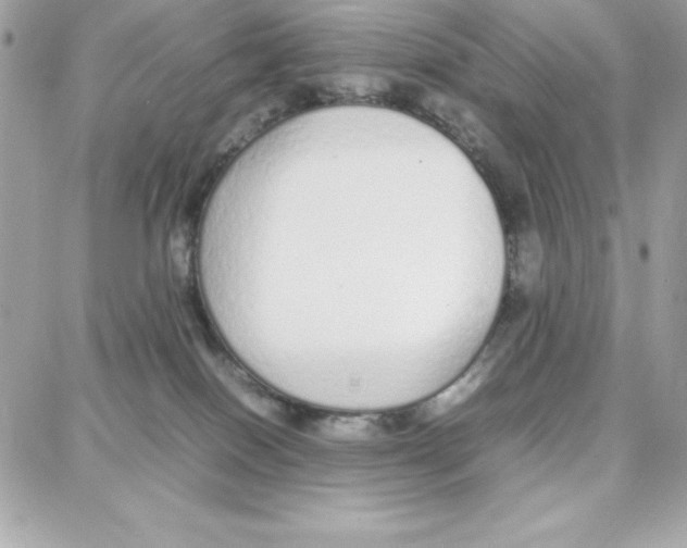 X0000087750086200706041112