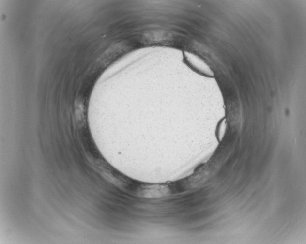 X0000087750087200706041112