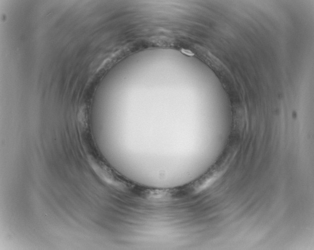 X0000087750088200706041112