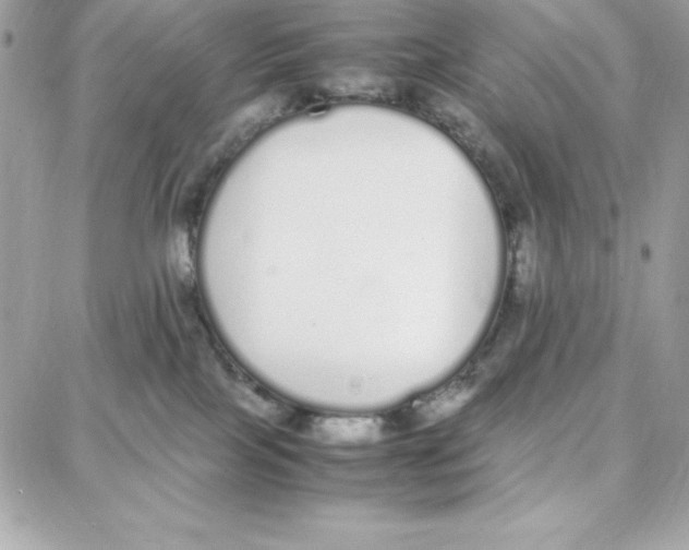 X0000087750089200706041112