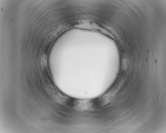 X0000087750093200706041112