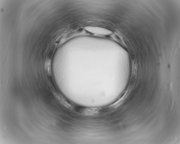 X0000087750094200706041112