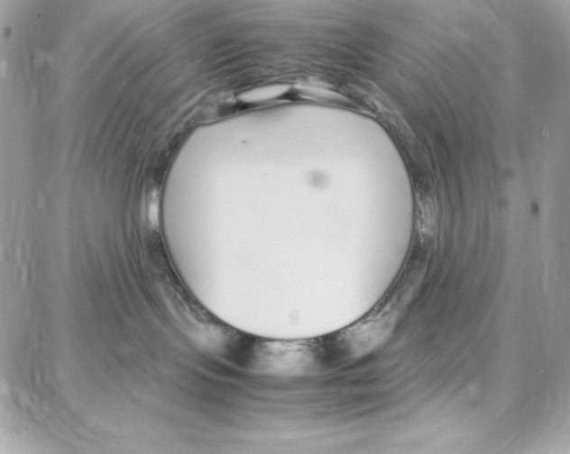 X0000087750095200706041112