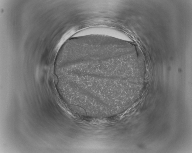 X0000087750099200706041111