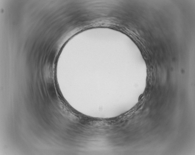 X0000087750100200706041111