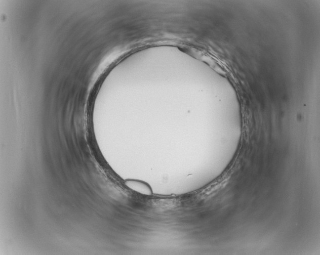 X0000087750102200706041111