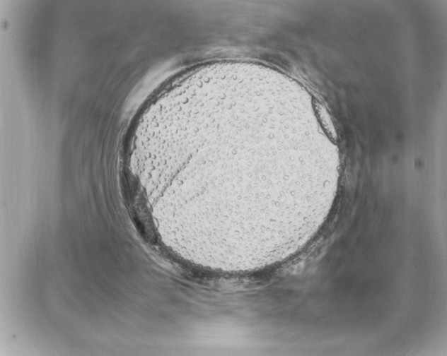 X0000087750103200706041111