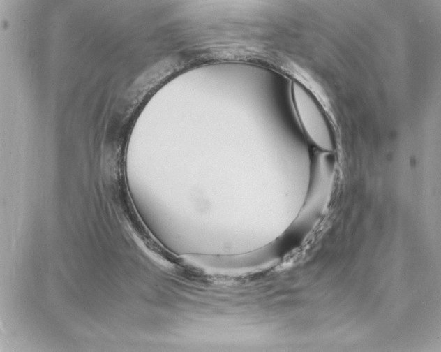 X0000087750105200706041111