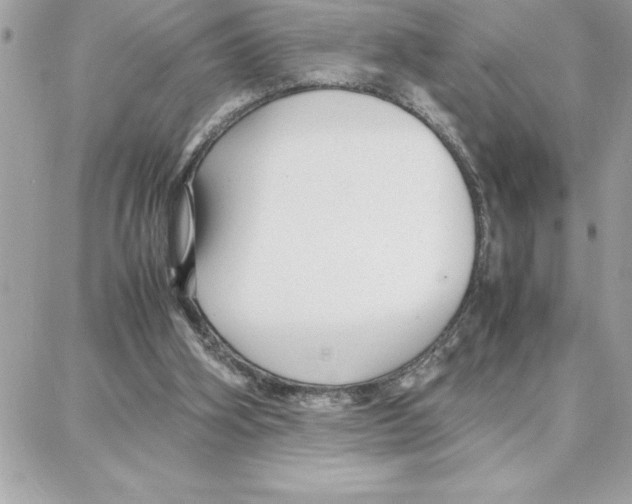 X0000087750106200706041111