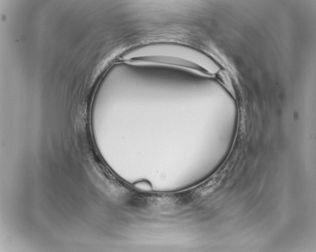 X0000087750107200706041111